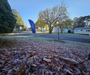 472993321_122168000096277051_1169428219669413743_n