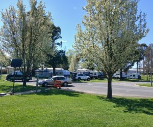 474750404_122170178684277051_4468740274642831150_n