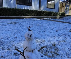 539980077_122206717010277051_6861178854793267125_n