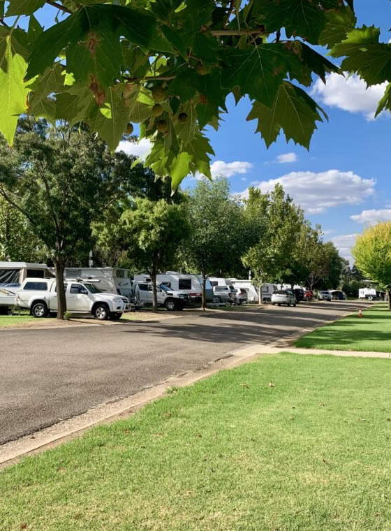 Cootamundra Caravan Park